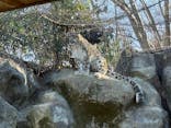 多摩動物公園に投稿された画像（2026/1/3）
