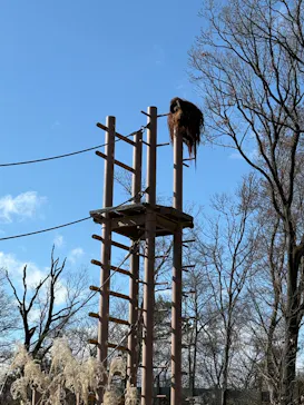 多摩動物公園に投稿された画像（2026/1/3）