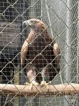 多摩動物公園に投稿された画像（2026/1/3）