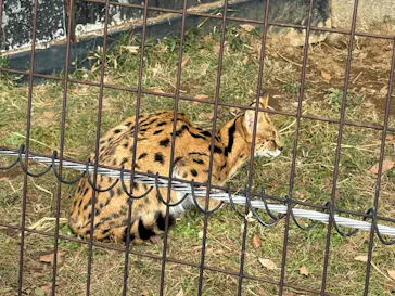 多摩動物公園に投稿された画像（2026/1/3）
