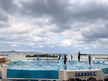 沖縄美ら海水族館に投稿された画像（2026/1/3）