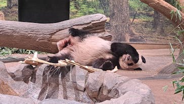 恩賜上野動物園に投稿された画像（2026/1/3）