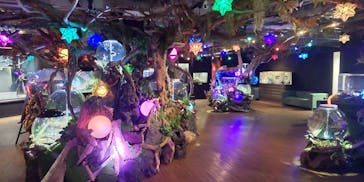 NARA KINGYO MUSEUMに投稿された画像（2026/1/3）