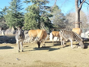 群馬サファリパークに投稿された画像（2026/1/3）