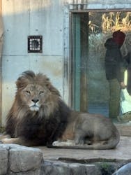 千葉市動物公園に投稿された画像（2026/1/3）