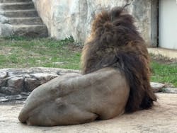 千葉市動物公園に投稿された画像（2026/1/3）