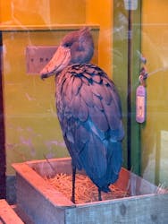 千葉市動物公園に投稿された画像（2026/1/3）