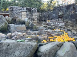 伊豆シャボテン動物公園に投稿された画像（2026/1/3）