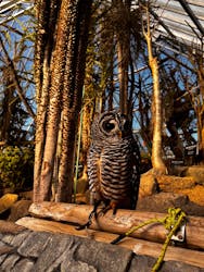 伊豆シャボテン動物公園に投稿された画像（2026/1/3）