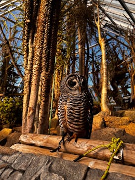 伊豆シャボテン動物公園に投稿された画像（2026/1/3）