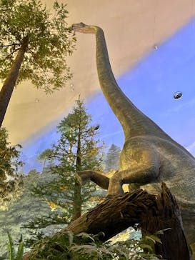 福井県立恐竜博物館に投稿された画像（2026/1/3）