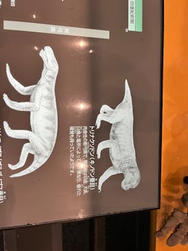 福井県立恐竜博物館に投稿された画像（2026/1/3）