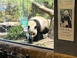 恩賜上野動物園に投稿された画像（2026/1/3）