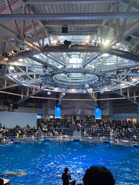 マクセル アクアパーク品川に投稿された画像（2026/1/3）