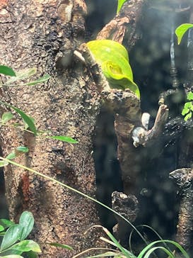 マクセル アクアパーク品川に投稿された画像（2026/1/3）