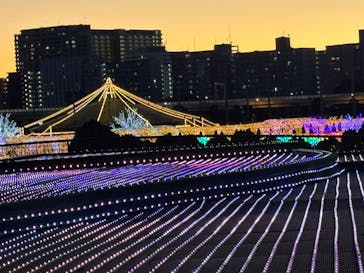 東京メガイルミに投稿された画像（2026/1/3）