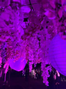 東京メガイルミに投稿された画像（2026/1/3）