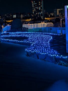 東京メガイルミに投稿された画像（2026/1/3）