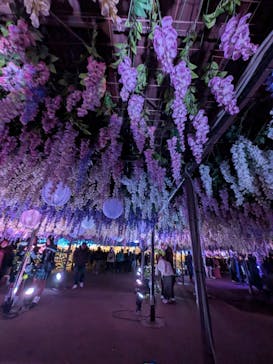 東京メガイルミに投稿された画像（2026/1/3）