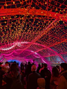 東京メガイルミに投稿された画像（2026/1/3）