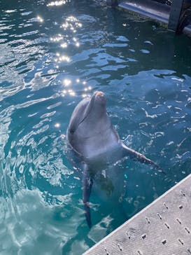 太地町立くじらの博物館に投稿された画像（2026/1/3）