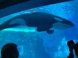 名古屋港水族館に投稿された画像（2026/1/3）