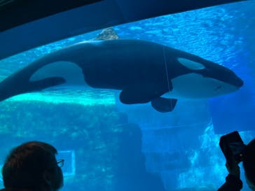 名古屋港水族館に投稿された画像（2026/1/3）