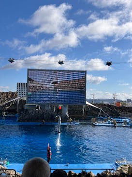 名古屋港水族館に投稿された画像（2026/1/3）