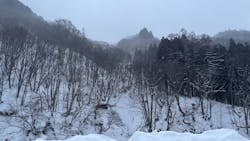 駒の湯に投稿された画像（2026/1/3）