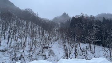 駒の湯に投稿された画像（2026/1/3）