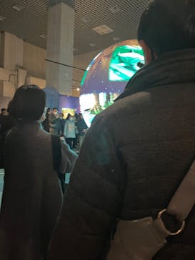 特別展「大絶滅展―生命史のビッグファイブ」に投稿された画像（2026/1/3）