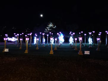 大阪城イルミナージュに投稿された画像（2026/1/3）