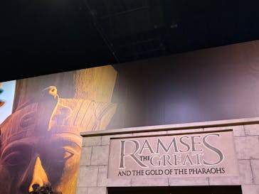 ACN ラムセス大王展 ファラオたちの黄金に投稿された画像（2026/1/3）