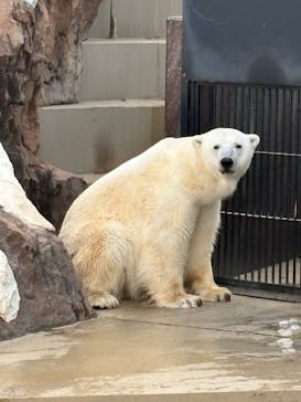 恩賜上野動物園に投稿された画像（2026/1/3）