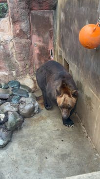恩賜上野動物園に投稿された画像（2026/1/3）