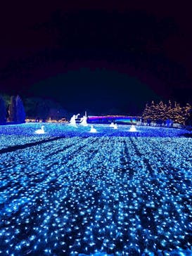 東武動物公園に投稿された画像（2026/1/3）