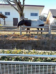 東武動物公園に投稿された画像（2026/1/3）