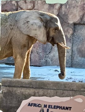 東武動物公園に投稿された画像（2026/1/3）