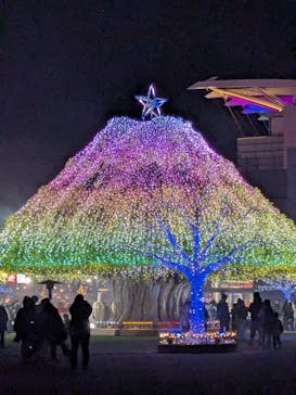 東京メガイルミに投稿された画像（2026/1/3）