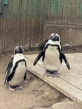 ゼロ距離水族館 伊勢シーパラダイスに投稿された画像（2026/1/3）