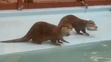 ゼロ距離水族館 伊勢シーパラダイスに投稿された画像（2026/1/3）
