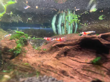 ゼロ距離水族館 伊勢シーパラダイスに投稿された画像（2026/1/3）