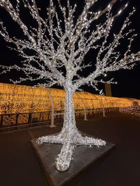 東京メガイルミに投稿された画像（2026/1/3）