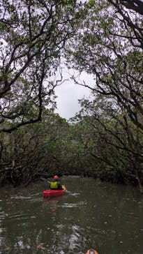 ウトロベースに投稿された画像（2026/1/3）