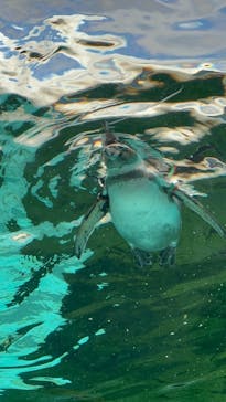 天王寺動物園に投稿された画像（2026/1/3）