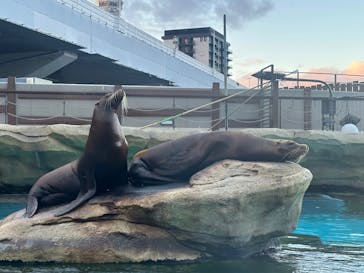 天王寺動物園に投稿された画像（2026/1/3）