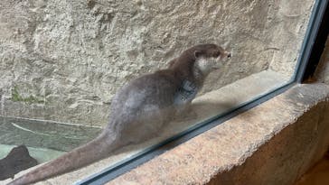 沖縄こどもの国に投稿された画像（2026/1/3）