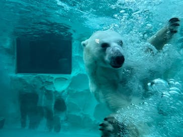 恩賜上野動物園に投稿された画像（2026/1/3）