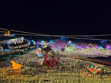 伊豆高原グランイルミに投稿された画像（2026/1/3）