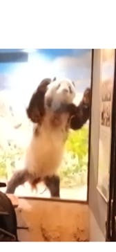 恩賜上野動物園に投稿された画像（2026/1/3）